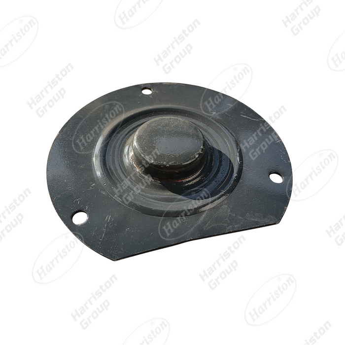 FM World Harvester Spare Parts W2.5-02GX-02-10-01-05 Plate (1 #,Vertical)